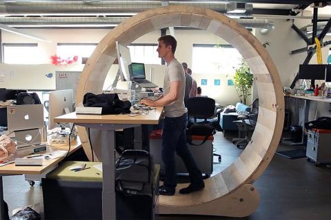 Big Hamster Wheel - Treadmill Desk